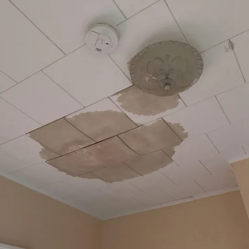 Ceiling Water Damage Repair in Rainelle, WV