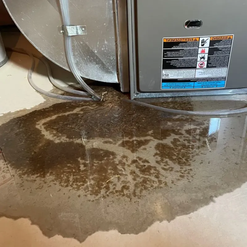 Pipe Burst and Leak Restoration in Rainelle, WV