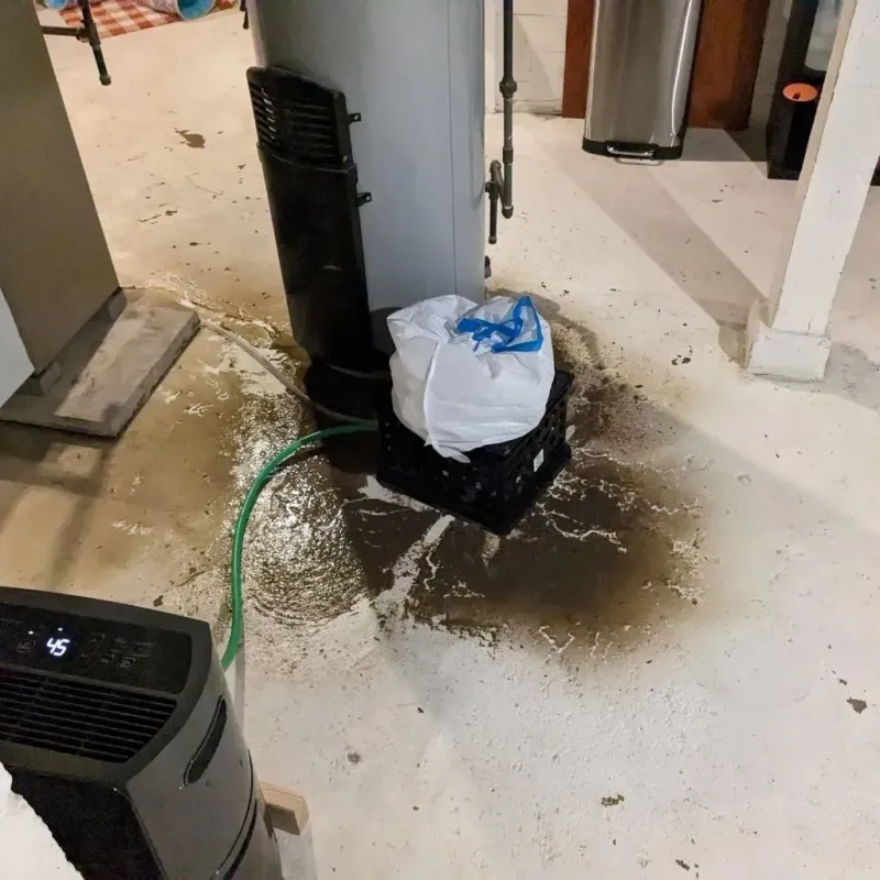 Sewage Backup Cleanup Service in Rainelle, WV